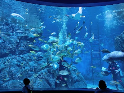 씨라이프 방콕 오션 월드 (Siam Ocean World)