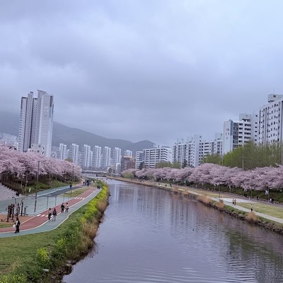 온천천