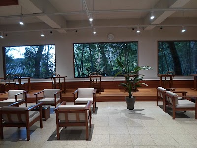 신기숲