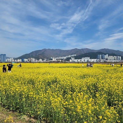 대저생태공원