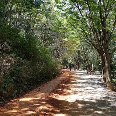 계족산 황톳길