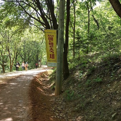 장동산림욕장