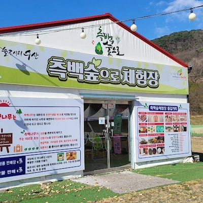 측백숲으로