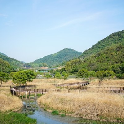 옥순봉 생태공원
