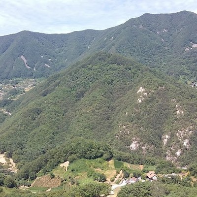 상선암