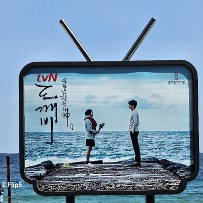 도깨비 촬영지 방사제