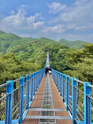 원주 소금산 출렁다리