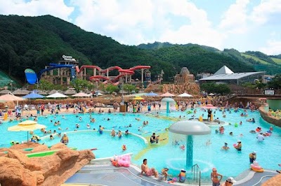 비발디파크 오션월드