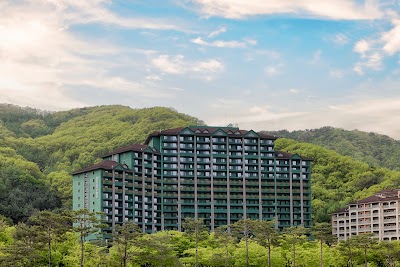 소노캄 비발디파크