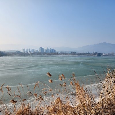 양강섬
