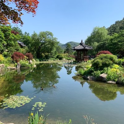 아침고요가족동물원