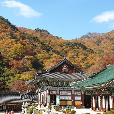 용문산관광지