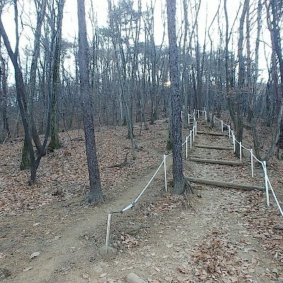 유명산