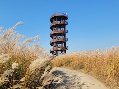 시흥갯골생태공원