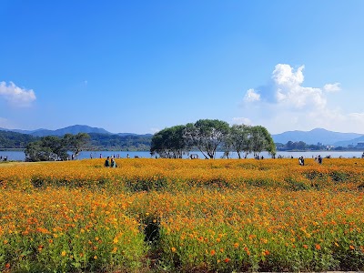 남양주 물의 정원
