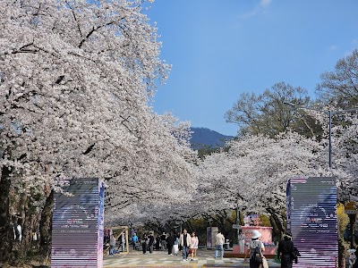 렛츠런파크 서울