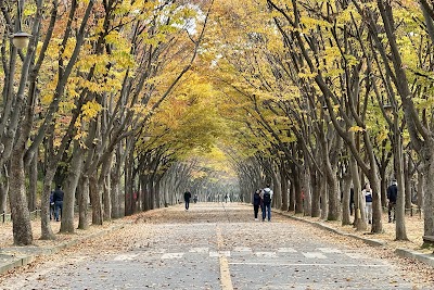 인천대공원