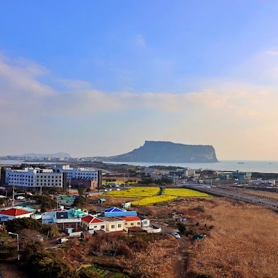 골든튤립 제주성산호텔