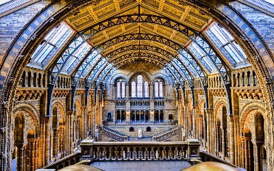 자연사 박물관 런던 (Natural History Museum)