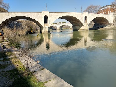 트라스테베레 (Trastevere)
