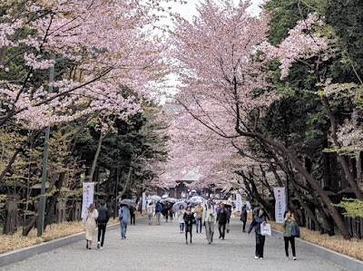 마루야마공원 (Maruyama Park)
