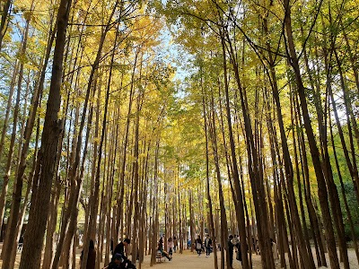 서울숲