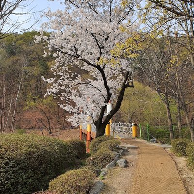 광교저수지