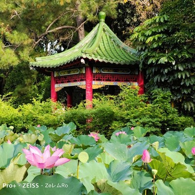 타이베이 식물원
