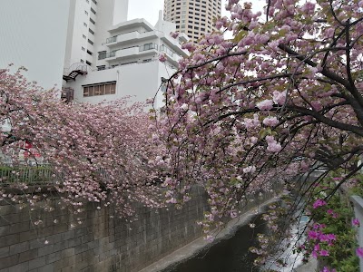 나카메구로