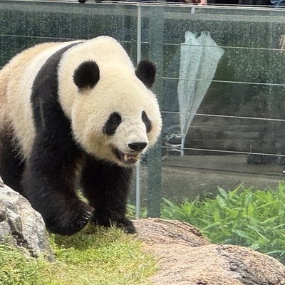 우에노동물원