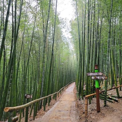 거제맹종죽테마파크