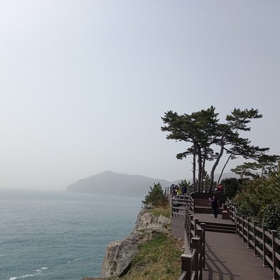 지심도