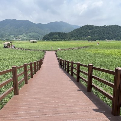 순천만습지