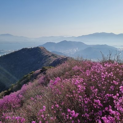 영취산
